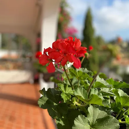 Casa Zawadi Mijas